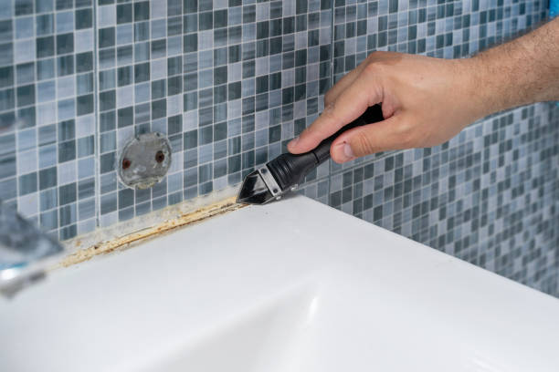 Office Mold Removal Services in Roseau, MN